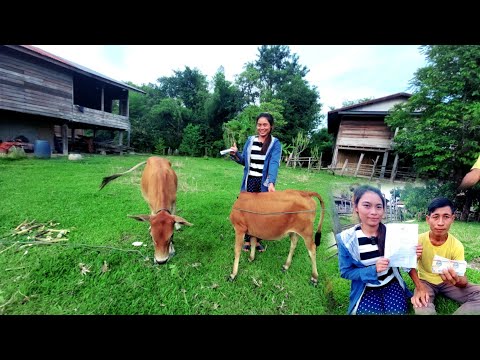 ดีใจจนนอนไม่หลับสาวเมืองกลับมาแล้ว 8 กันยายน ค.ศ. 2022