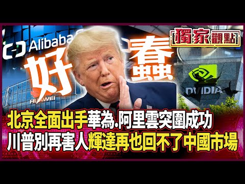 北京被惹怒全面出手!華為.阿里雲AI晶片突圍成功 孫大千怒嗆「川普真的別再說話」:輝達再也回不了中國市場 #獨家觀點 #環球大戰線 @Global-vision-talk