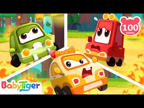 精選汽車兒歌合集 | 寶寶喜歡的汽車| 超級汽車第三季 | 交通工具認知 | 汽車動畫片 | 貝樂虎