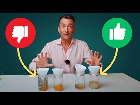 4 DIY Fruit Fly Traps Battle | This One Won By A Landslide