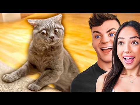 Funniest Animal Videos Ever!