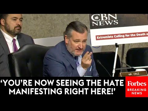Ted Cruz Gets Interrupted During Hearing By Anti-Israel Protester—Then He Responds