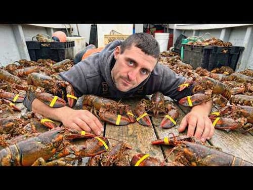Why I HATE lobstering