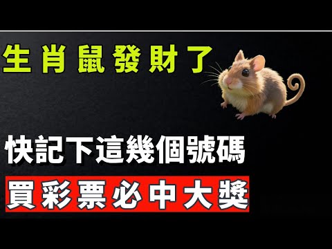 生肖鼠發財了,快記下這幾個號碼,買彩票必中大獎。【肖天師道玄】#生肖 #命理 #運勢 #屬相 #風水