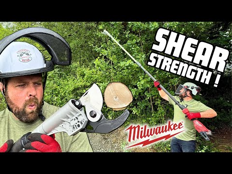 Is This The Safest Way To Prune at Height? We Test The Milwaukee BLTS!