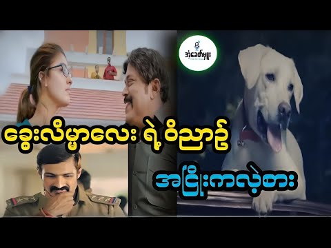 ခွေးလိမ္မာလေးရဲ့ဝိဉာဉ် အငြိုးကလဲ့စား - Recap by Eant Khit Hmue