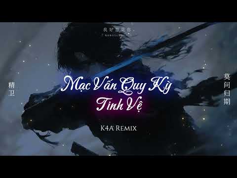 Mạc Vấn Quy Kỳ x Tinh Vệ Remix | 莫问归期 x 精卫 (K4A Remix) | Nhạc Trending Tiktok/Douyin 2025