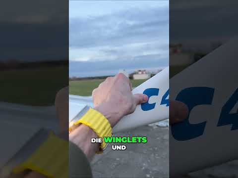 IKarus C42 Ultraleichtflugzeug: Cockpit, Steuerung & Flug! #shorts