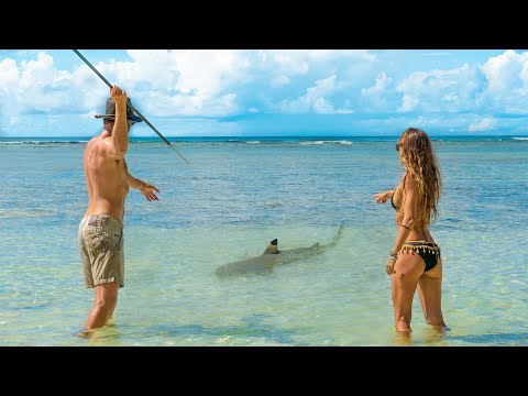 Island Survival with Hand Spear (SHARK CATCH & COOK)