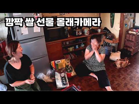 쌀값 폭등한 일본 처갓집에 한국쌀을 들고 가보았습니다 🍚 한국쌀 선물 장모님 반응?!