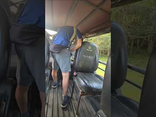 POV: You Go on a Safari and This Happens