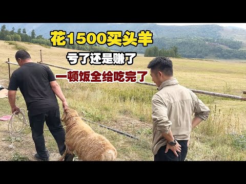 100-Pound Lamb Feast: How Did We Finish It All in One Meal?!