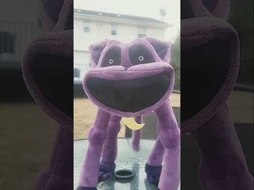 I got my CatNap plush!