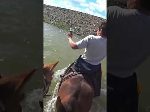 The most intense river crossing in Mongolia π¬ #mongolia #horse #travelvlog