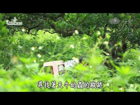 【農夫與他的田】20130914 南埔 水鄉新農村