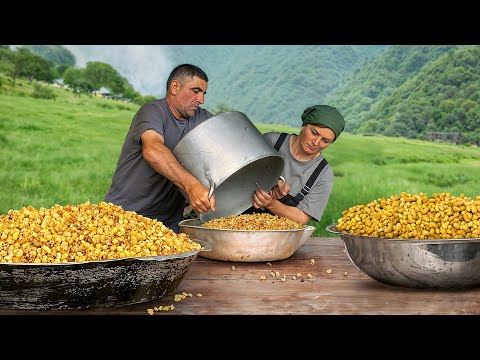 Harvesting Fresh Mulberries and Making Sweet White Mulberry Jam!
