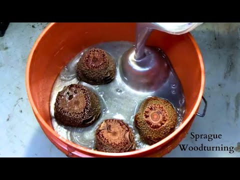 Woodturning - The Down Under Lamp! Fantastic!