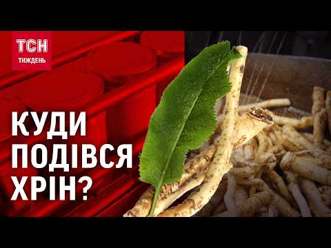ЗВІДКИ В УКРАЇНУ ПОЧАЛИ ЗАВОЗИТИ ХРІН? ЧОМУ «УКРАЇНСЬКИЙ ВАСАБІ» ЗНИКАЄ? ДЕГУСТАЦІЯ ХРОН