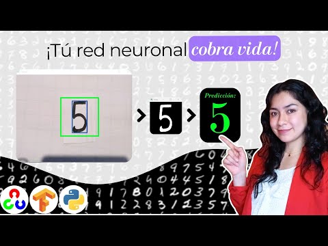 🤖 Your neural network comes to life! Recognize numbers in real time with your camera (MNIST + Ten...