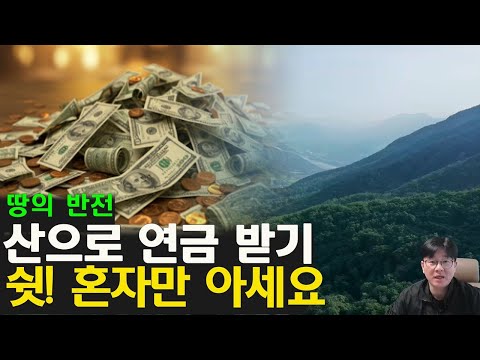 (정보) 나는 산에서 연금받는다 산지연금 사유림매수사업 알고 계시나요? 임야의 변신 한국의 땅부자가 되고싶다면 토지를 알아야 한다