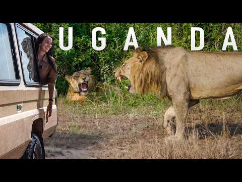 Unbelievable Uganda Safari - Kibale and Queen Elizabeth National Park