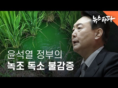 윤석열 정부의 녹조 독소 불감증 - 뉴스타파