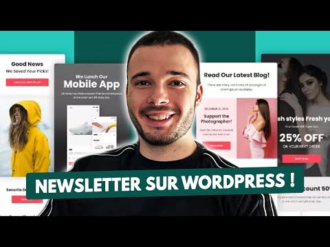 Tuto Mailerlite : Le meilleur plugin de newsletter sur WordPress ?