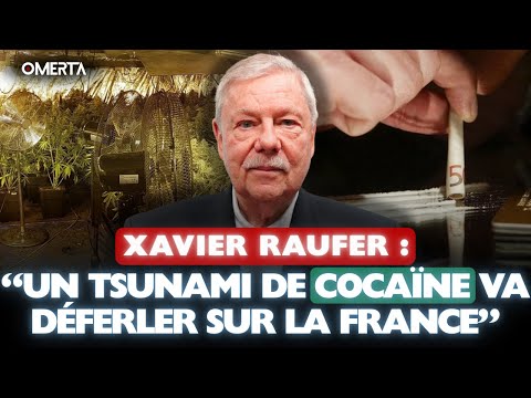 XAVIER RAUFER : "UN TSUNAMI DE COCAÏNE VA DÉFERLER SUR LA FRANCE"