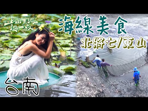 【旅遊推薦】台灣台南|台南三天兩夜推薦路線 超大芒果冰 新鮮海產蚵仔 網美景點全在這|上山下海過一夜 合集