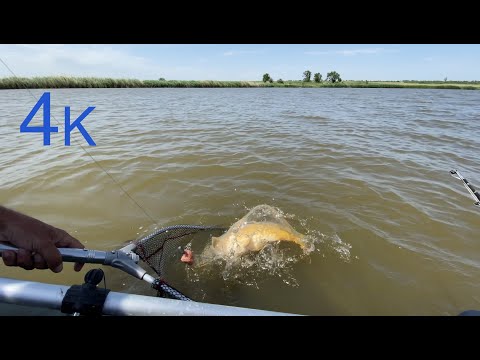 Рыбалка на закидушки (коротыши) с лодки на макуху. Июнь 2020.