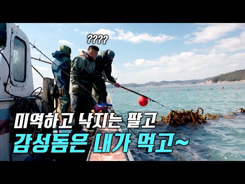 통발 1000개를 뿌렸는데... 에잇! 감성돔 회나 먹어야지~ 😋 완도 어부 청년 이야기