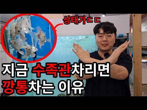 좋은연봉 걷어차고 수족관차렸다가 한달에 수천씩 물고기만사는 남자,매일 물고기가죽어나가는이유(물뽀극장9화:해리아쿠아 )