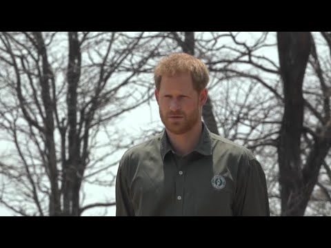 ‘What is he doing?’: Harry scrutinised for ‘quasi’ visits which ‘don’t do anything’