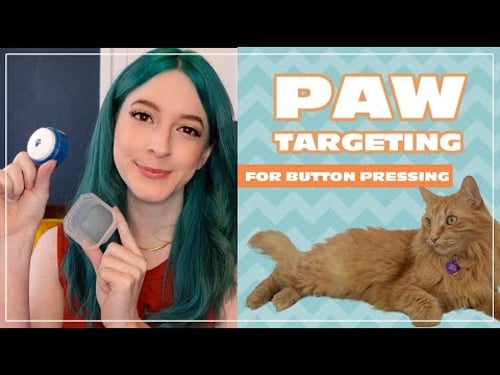 Paw Targeting for Button Pressing | Tutorial