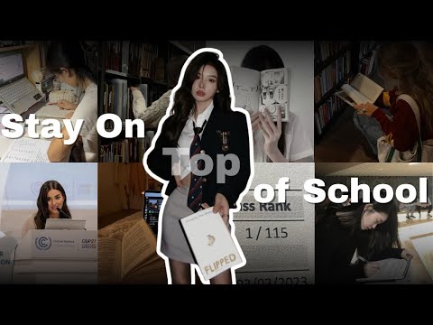 The Ultimate Guide to Stay Organised as a Perfect Student