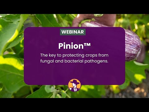 Pinion: The key to protecting crops from fungal and bacterial pathogens | A New Production from AEA
