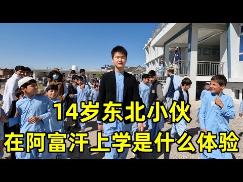 14岁小伙为何冒险来阿富汗上学?东北一家人竟然举家搬来阿富汗