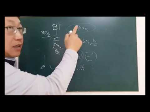 🌲 갑진일주 일주론 - 피클의 행복한 명리