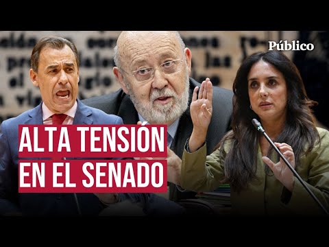 Tezanos loses patience with the PP and VOX in the Senate: "They don't listen to me"
