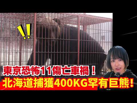 【日本熊患不停🚨】北海道罕有捕獲400公斤巨熊!東京恐怖偷車暴走事件 | 熊連環襲擊事件 | 日本新聞報導 | CC中文字幕 #熊出沒 #柴犬 #廣東話 #新聞 #突發