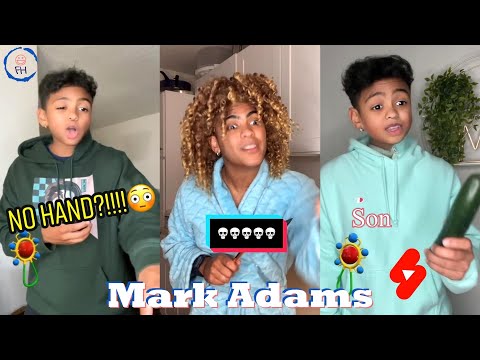 Most Viewed Mark Adams Shorts | Mark Adams Funniest TikToks of All Times