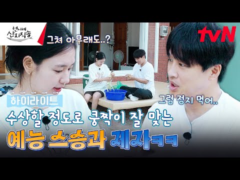 둘이 케미 뭐야?! 언니네 놀러 온 예능 피.알.오와 셋째의 쿵짝이 잘 맞는다 #highlight #유료광고포함 #언니네산지직송 EP.7