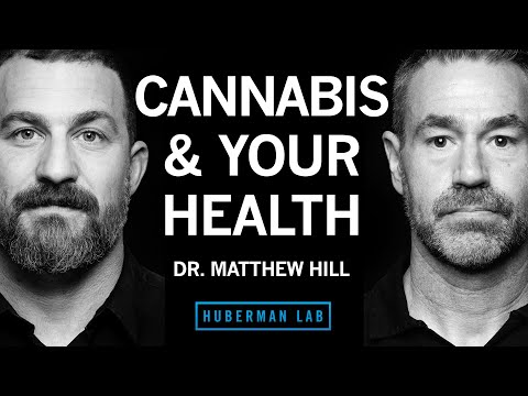 How Cannabis Impacts Health & the Potential Risks | Dr. Matthew Hill