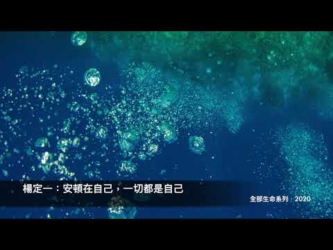 楊定一:安頓在自己,一切都是自己