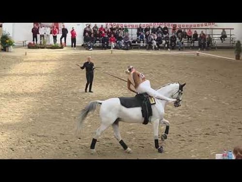 SM Voltige 2025 Fehraltdorf - Michelle