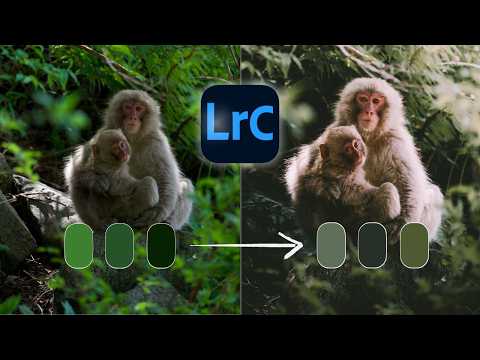 How to Master MOODY GREEN & BLUE TONES in Lightroom (Step-by-Step Tutorial)