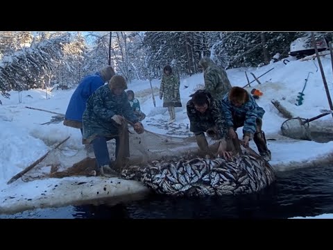 Long-distance fishing! We're catching fish for deer bait 🦌