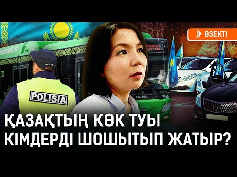 Бұл - толықтай Назарбаев құрған жүйе. Билік халықты жау көруді қоюы керек I Ту, Инга Иманбай