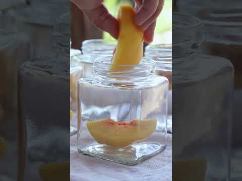 Picking yellow peaches for canning in rural China【二米炊烟】