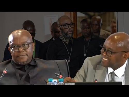 General Lesetja Senona ask for protection from Commissioner Mbuyiseli Madlanga